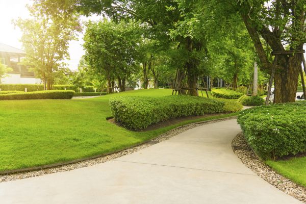Walkway Concrete Installation in Loveland