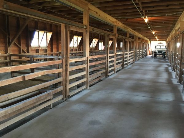 Barn Slab Construction in Loveland