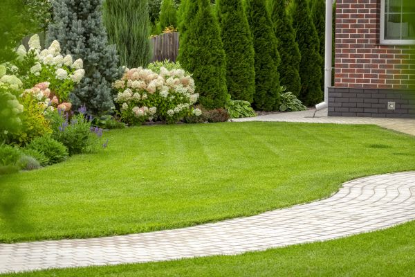 Landscape Walkway Installation in Loveland